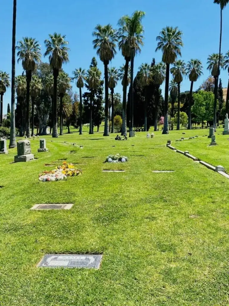 View of double-depth graves with lawn crypts surrounded by palm trees at Olivewood Memorial Park in Riverside, CA.