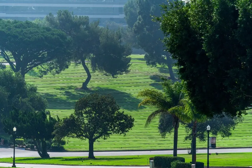 A serene landscape view of Holy Cross Cemetery featuring lush green grounds and a peaceful atmosphere.