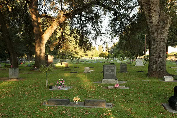 Peaceful view of Sanger Cemetery, surrounded by large oak trees and personalized headstones, offering a tranquil space for remembrance.