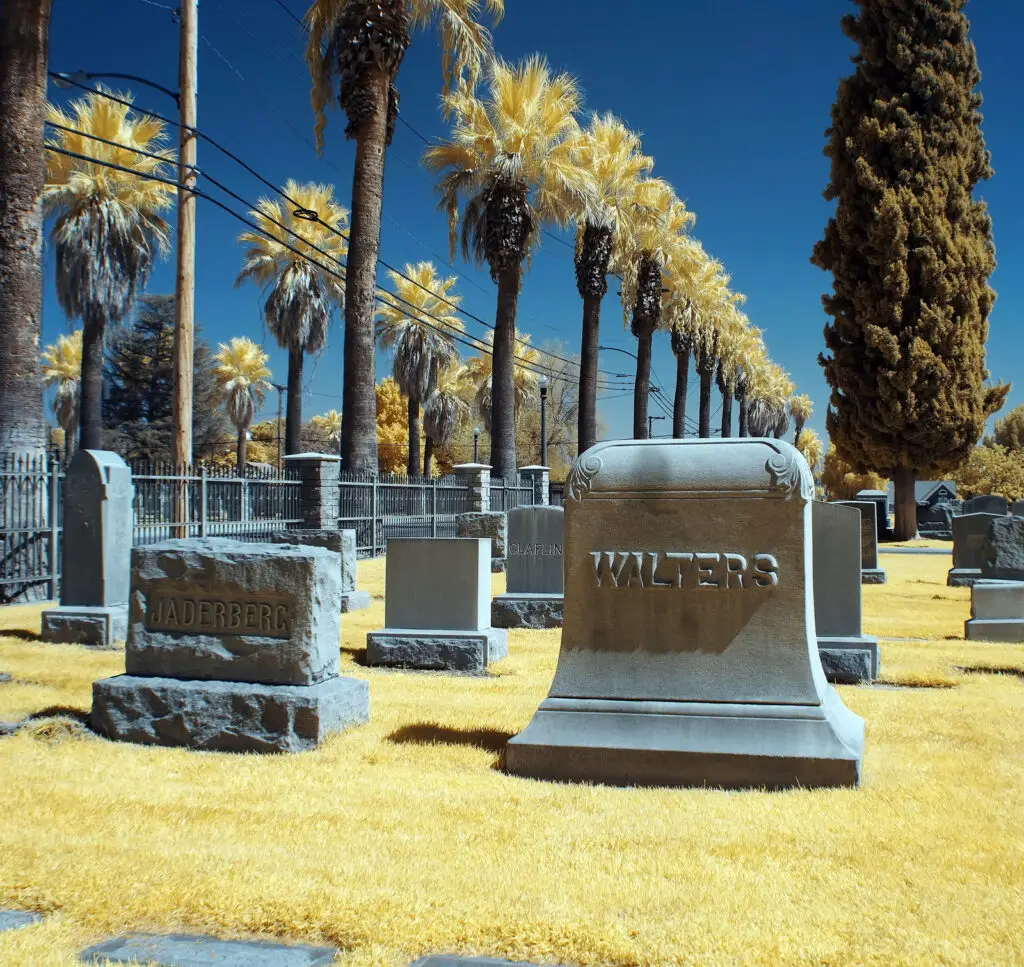 Historic gravestones and palm trees at Evergreen Memorial Park Cemetery
